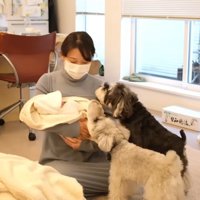 2匹ともママさんに夢中！