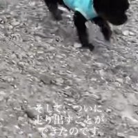 ひとりで走り回れるように！！