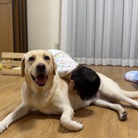 女の子がちょっかいを掛けると笑顔に♪