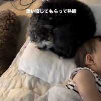 2匹も一緒に子育て中です