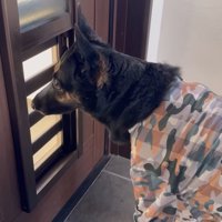 寂しそうな姿が切ない！