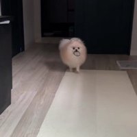 うるたんちゃんが登場