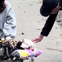 お散歩中に出会ったおじいちゃん