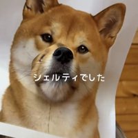 柴犬のパネルから口元を覗かせる犬