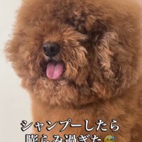 乾かすだけで1時間半