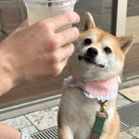 圧をかける顔もニッコリ
