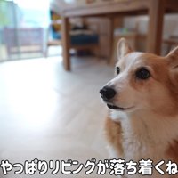 やっぱりリビングが落ち着く！！