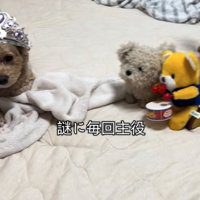 画面移動