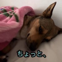 布団をめくると…