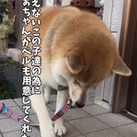 ベルを鳴らす犬
