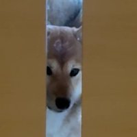 「まだ一緒にいたいよ」