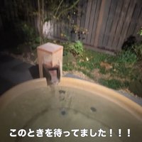 旅行中のティノちゃん6