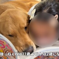 今でも仲良しな姉弟♡