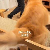 パパさんに甘えるモッシュくん