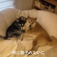 あっという間に仲良し