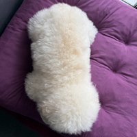 これは間違えちゃいます…！