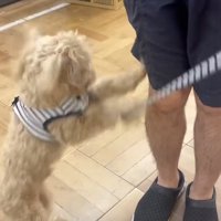 「家族になったってこと！？」