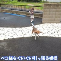 綱引き開始！？