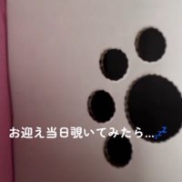 「怖がっていないかな」