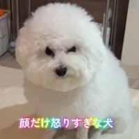 そんな顔も可愛い