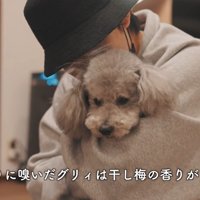 愛にあふれた光景