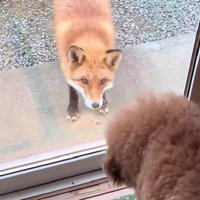 一球さんに興味津々