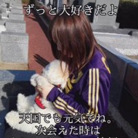 「またとびきりの笑顔を撮りたい…」