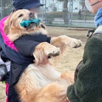 無視