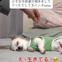眠ったままの凛くん