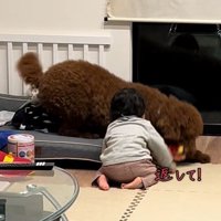 きんとん君VS男の子2