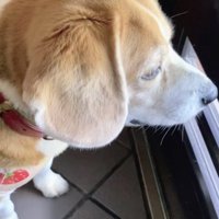 「まだかな…」