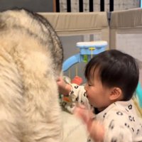 腕を広げて立ち上がろうとする赤ちゃん