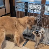 尊い光景にほっこり