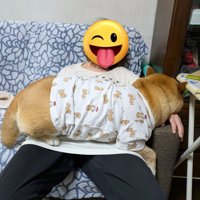 飼い主