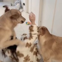 後ろに倒れていく女性