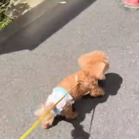 2年後には…