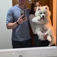 コロコロ可愛い子犬が…