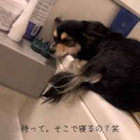お目目を開けたかと思うと…