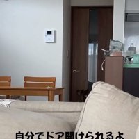 ドアの前に座るくっきーちゃん