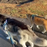 順調にスタートを切ったが…