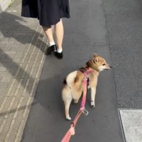 きっちりお見送り