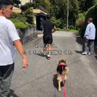 みんなに愛されている