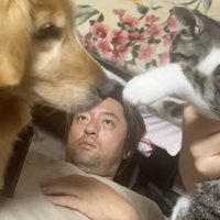 お互いのことが気になるもよう