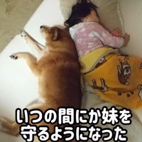 一緒に寄り添う関係に…