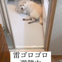 「ここが安全なの…」