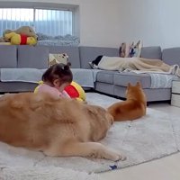 くつろいでいたら…