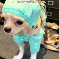 「先生、そろそろ始めましょう」