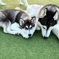 たくさん甘えながら、すくすく成長