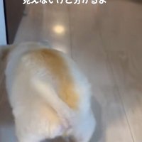 少しずつ前へ進みます