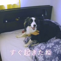 パパさんに会えて嬉しそう♪